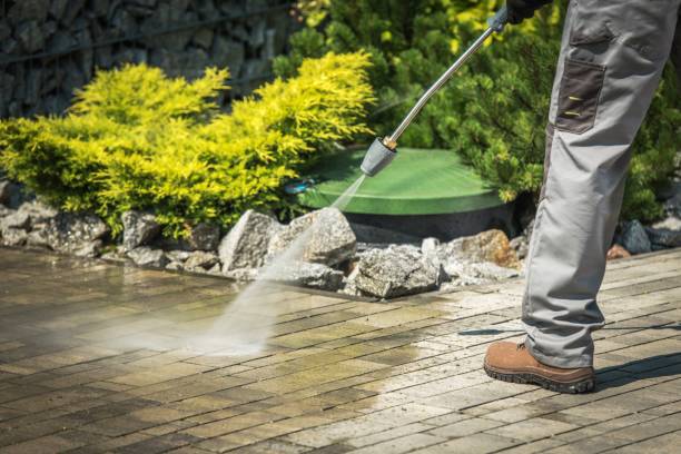Best Solar Panel Cleaning  in Madisonville, TX